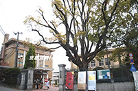 京都女子大学