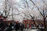 平野神社