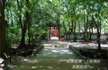 下鴨神社