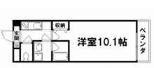 VIOLA IWASA(ヴィオライワサ)　302