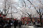 平野神社