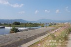 桂川