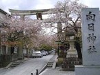 向日神社