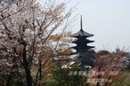 祇園　高台寺