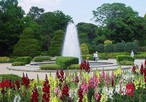 京都府立植物園