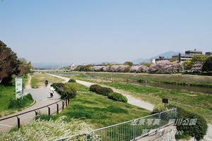 こどもみらい館